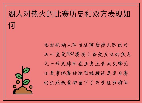 湖人对热火的比赛历史和双方表现如何